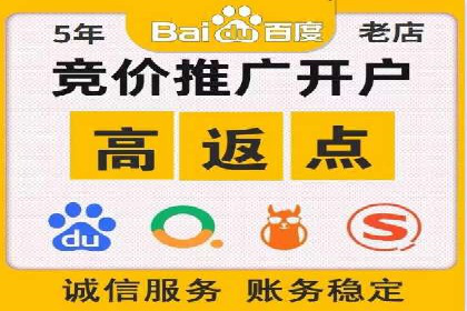 百度广告投放策略优化及成功案例解析